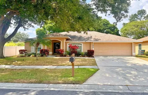 11416 Wellman Drive Riverview FL 33578