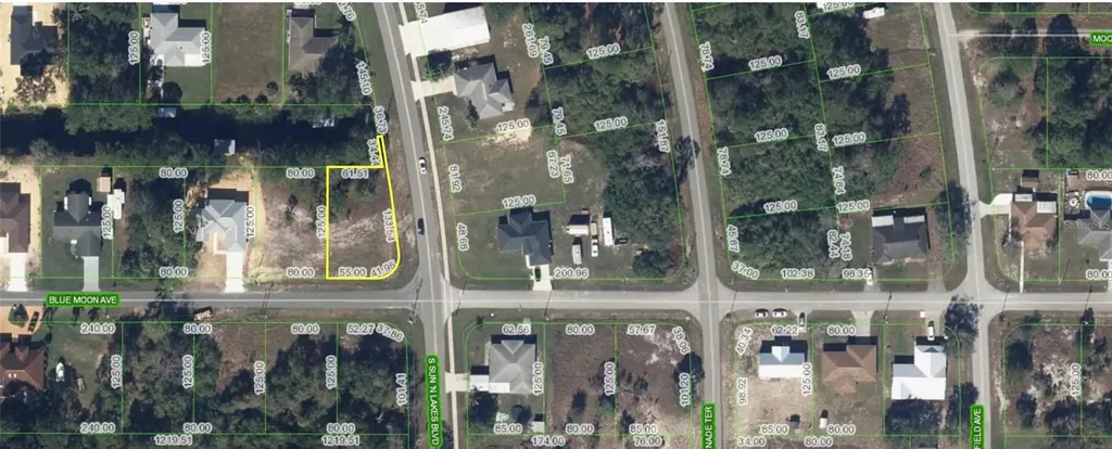 101 Blue Moon Avenue Lake Placid FL 33852