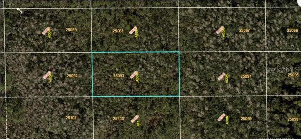 Dill Road Orlando FL 32820