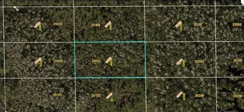 Dill Road Orlando FL 32820