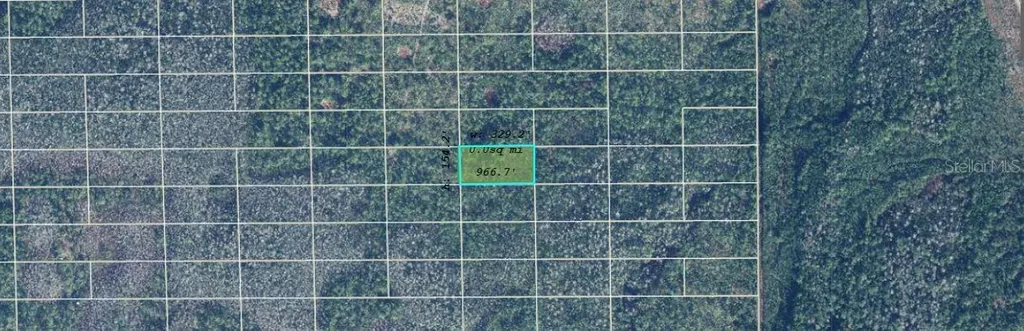 Dill Road Orlando FL 32820
