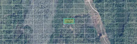 Dill Road Orlando FL 32820