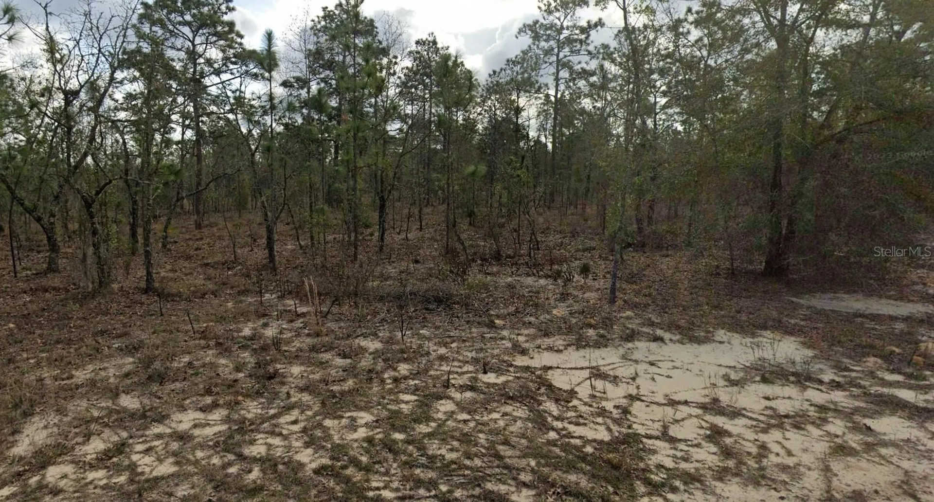 128 15th Street Interlachen FL 32148