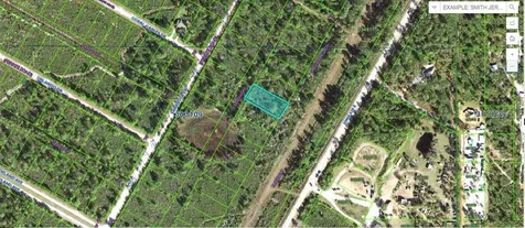 Street Petersburg Drive Indian Lake Estates FL 33855