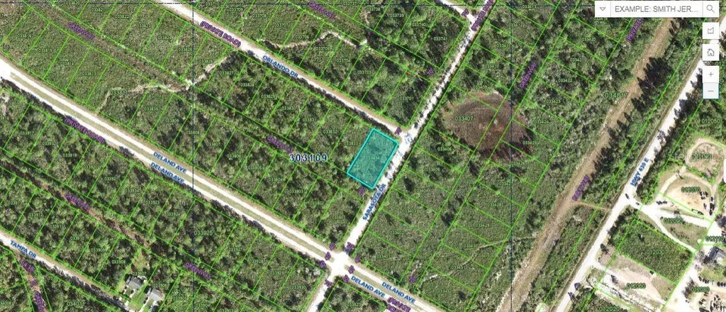 Orlando Drive Indian Lake Estates FL 33855