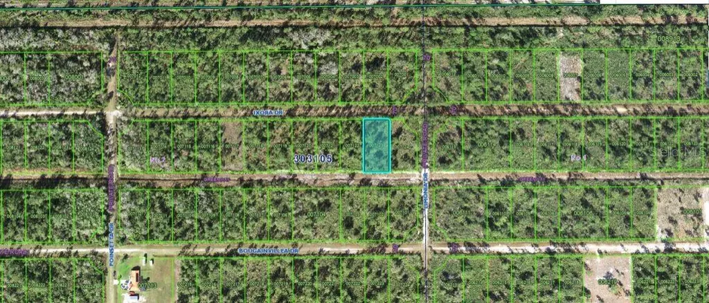 203 Ixora Drive Indian Lake Estates FL 33855