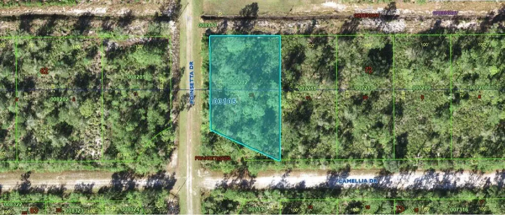 224 Camellia Drive Indian Lake Estates FL 33855