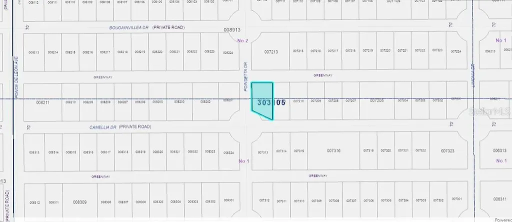 224 Camellia Drive Indian Lake Estates FL 33855
