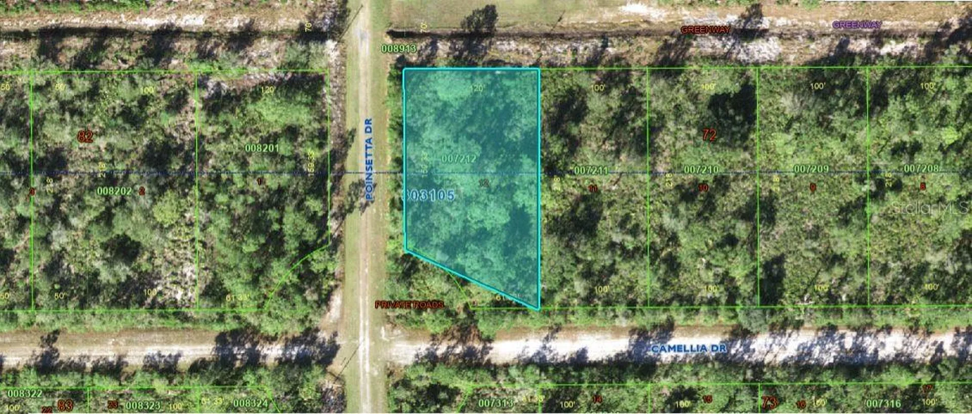 224 Camellia Drive Indian Lake Estates FL 33855