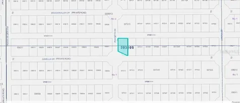 224 Camellia Drive Indian Lake Estates FL 33855