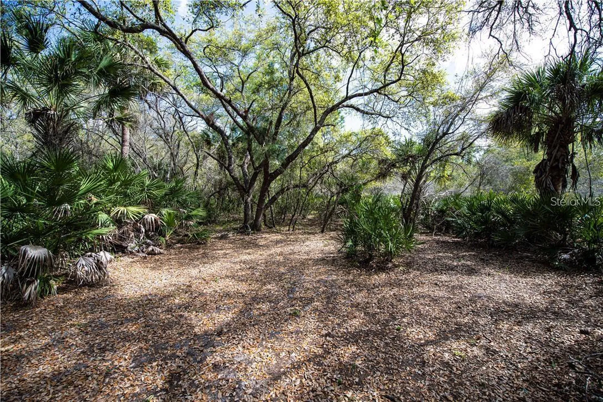 392 Manly Street Port Charlotte FL 33953