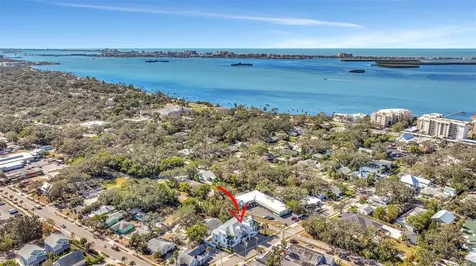 341 Albert Street Dunedin FL 34698