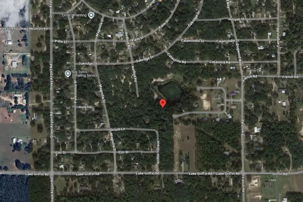 Tbd Redbud Road Lady Lake FL 32159