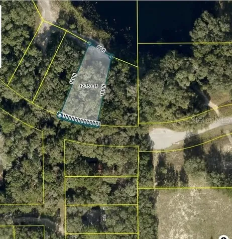 Tbd Redbud Road Lady Lake FL 32159