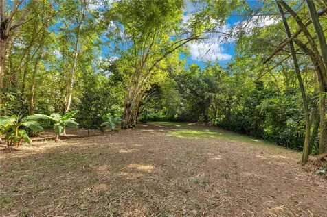 132 Quebrada Ceiba Penuelas PR 00624