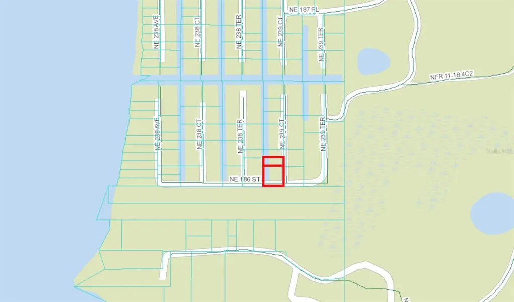 18600 NE 239th Court Fort Mc Coy FL 32134