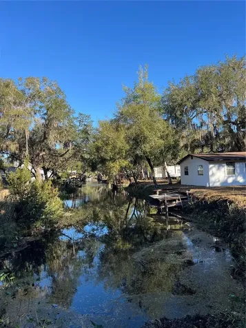 18600 NE 239th Court Fort Mc Coy FL 32134