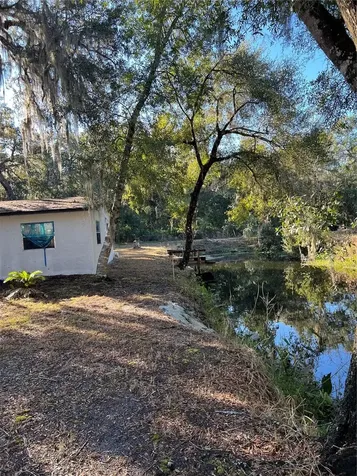 18600 NE 239th Court Fort Mc Coy FL 32134