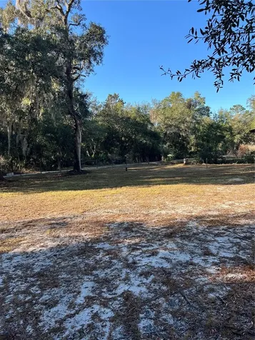 18600 NE 239th Court Fort Mc Coy FL 32134