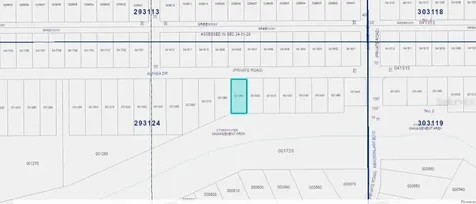 Althea Drive Indian Lake Estates FL 33855