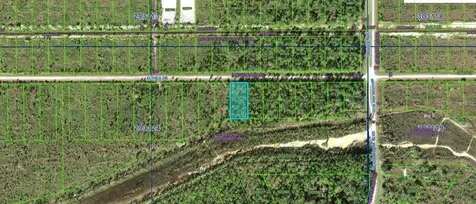 Althea Drive Indian Lake Estates FL 33855
