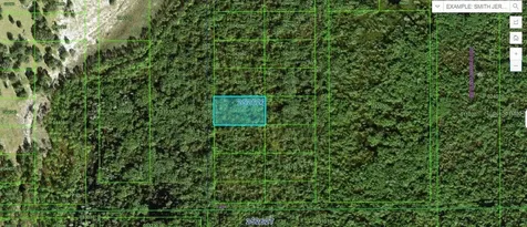 Commonwealth Avenue N Polk City FL 33868