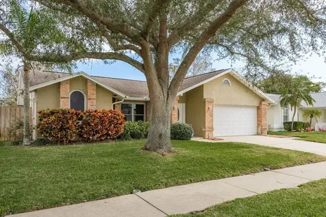3048 Orchard Drive Palm Harbor FL 34684