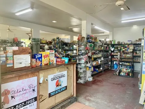 8406 Avenida Jobos Isabela PR 00662