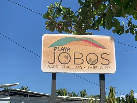 8406 Avenida Jobos Isabela PR 00662
