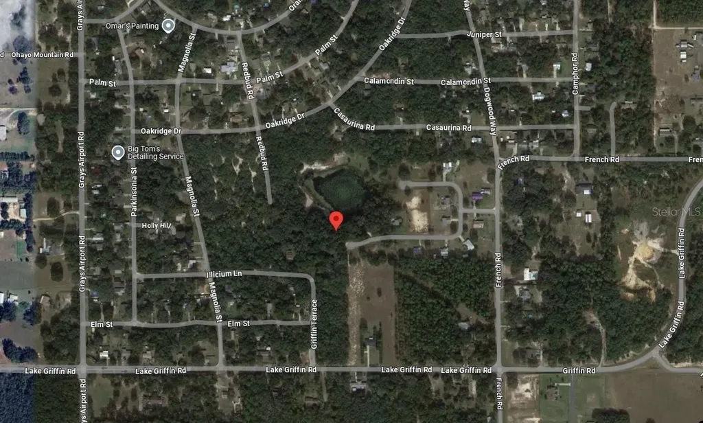 Tbd Redbud Road Lady Lake FL 32159