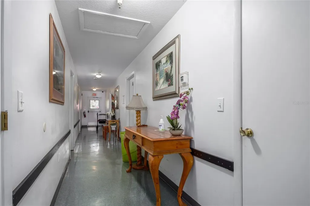 5650 NW 219 Street Micanopy FL 32667