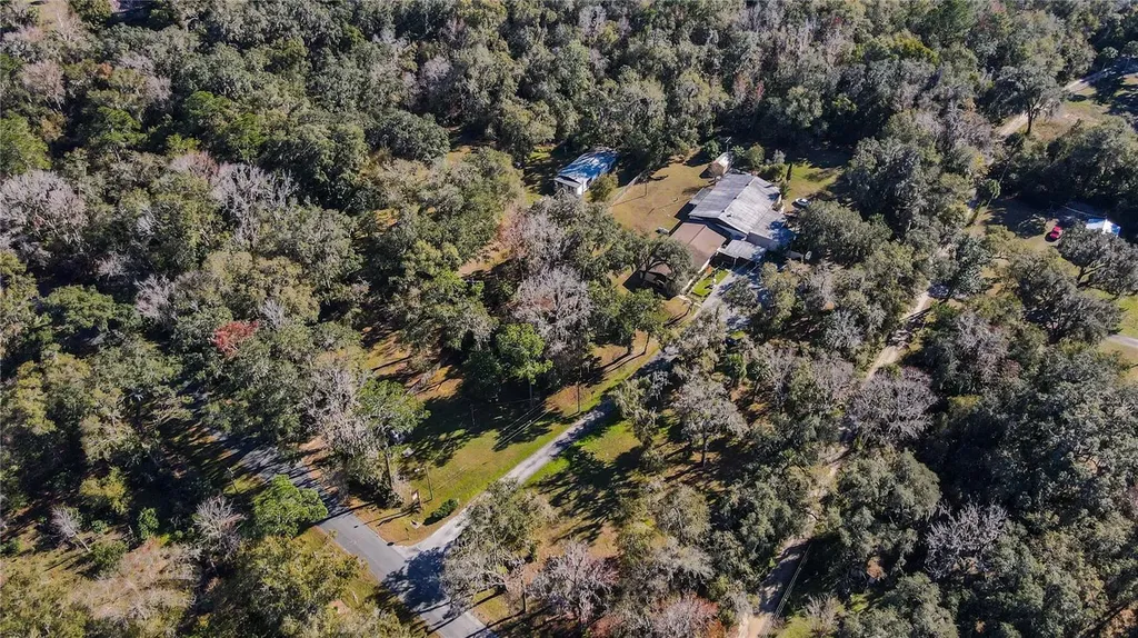 5650 NW 219 Street Micanopy FL 32667
