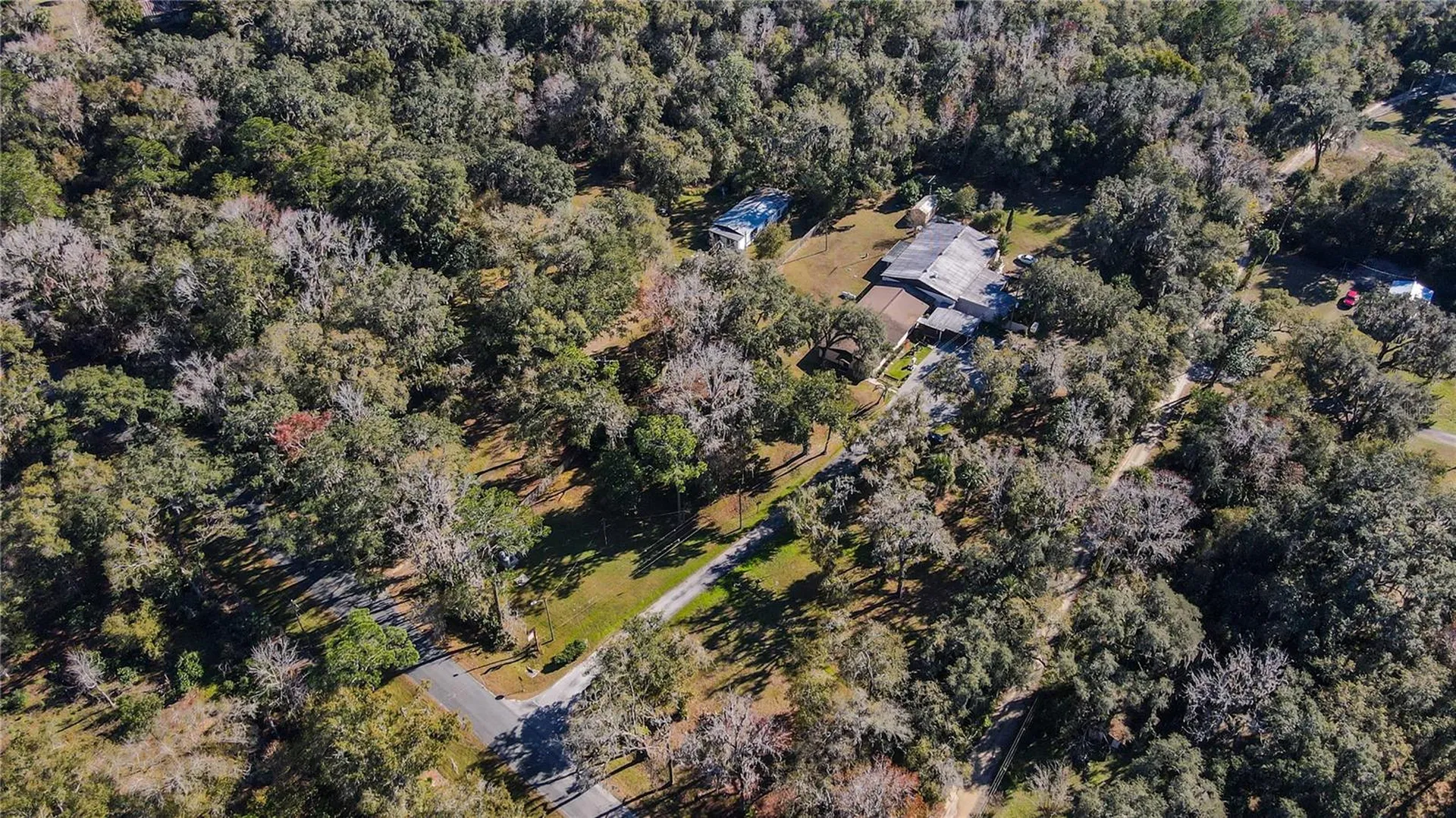 5650 NW 219 Street Micanopy FL 32667