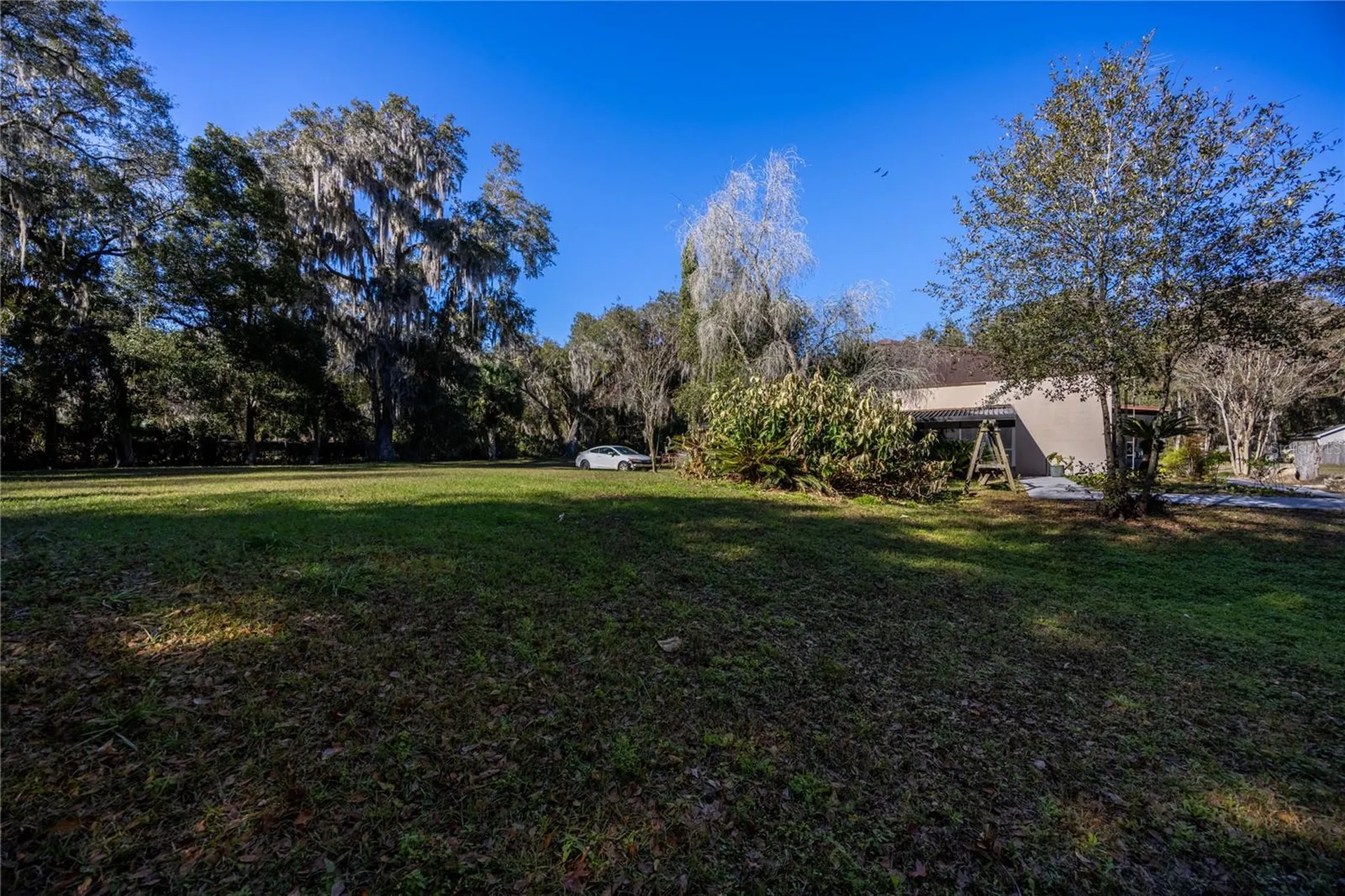 5650 NW 219 Street Micanopy FL 32667