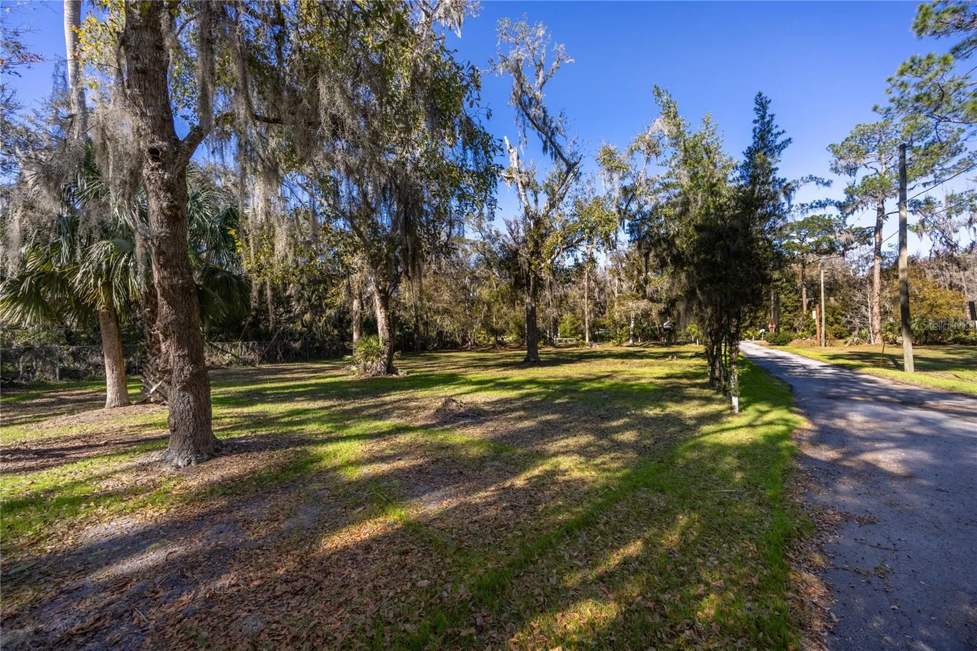 5650 NW 219 Street Micanopy FL 32667