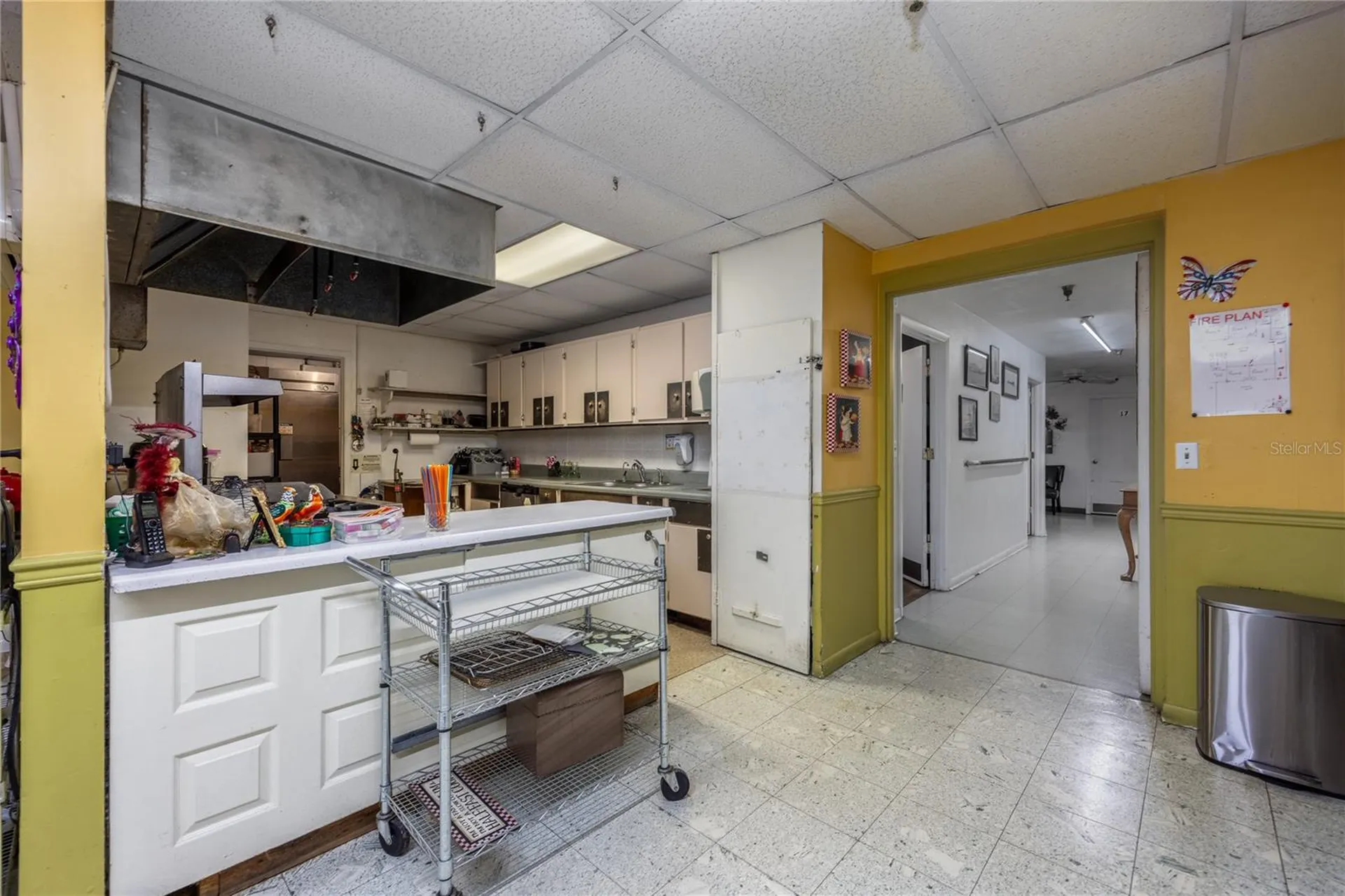 5650 NW 219 Street Micanopy FL 32667