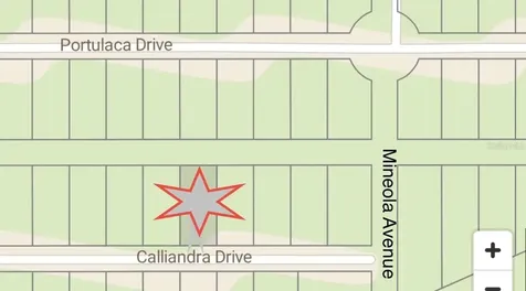 510 Calliandra Drive Indian Lake Estates FL 33855