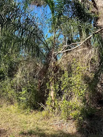 510 Calliandra Drive Indian Lake Estates FL 33855