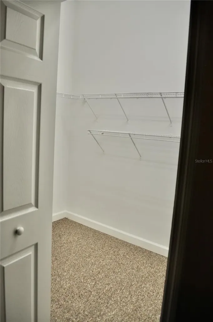 14003 Citrus Crest Circle Tampa FL 33625