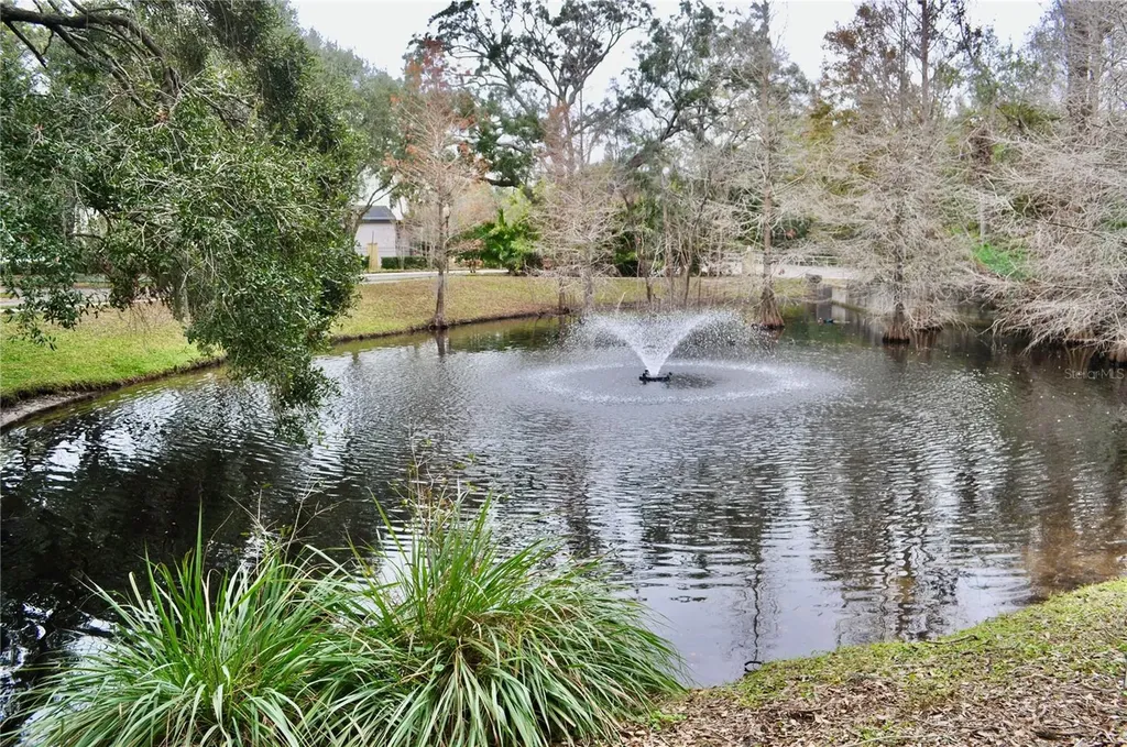 14003 Citrus Crest Circle Tampa FL 33625