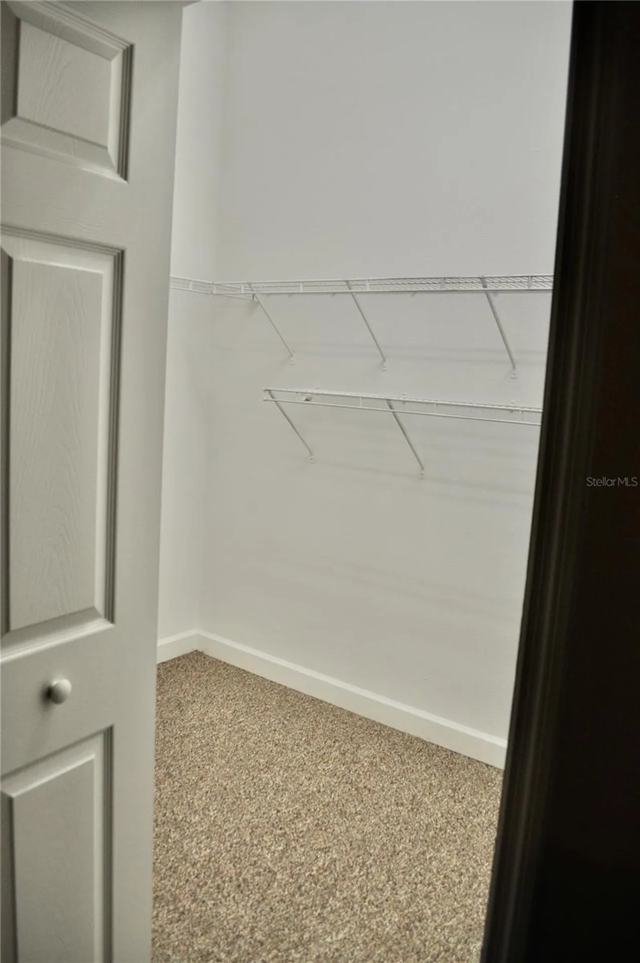 14003 Citrus Crest Circle Tampa FL 33625