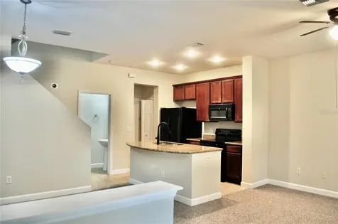 14003 Citrus Crest Circle Tampa FL 33625