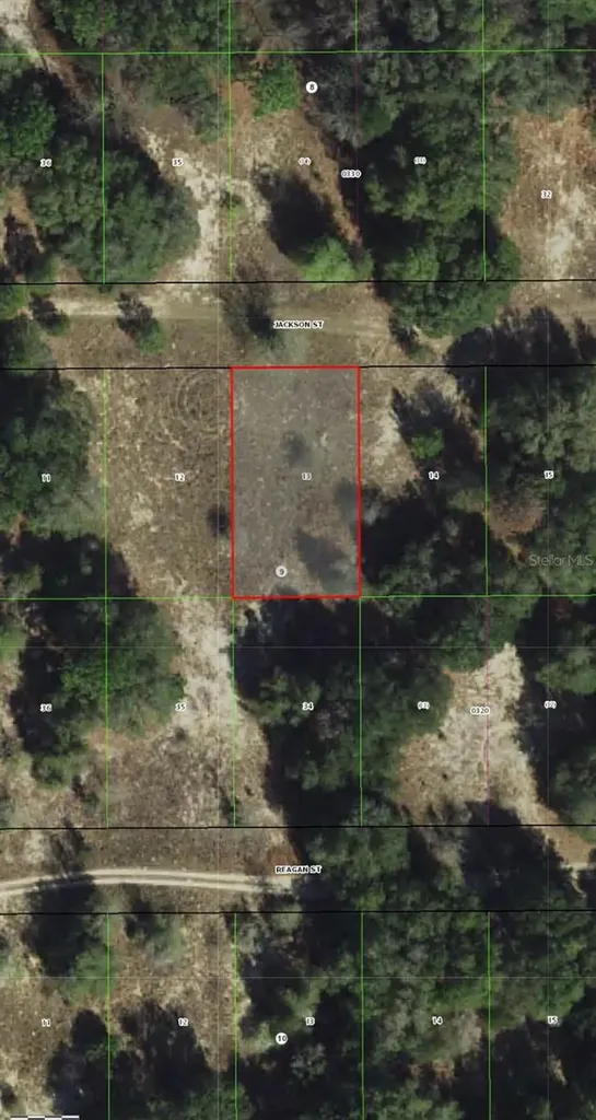 2407 Jackson Street Inverness FL 34453