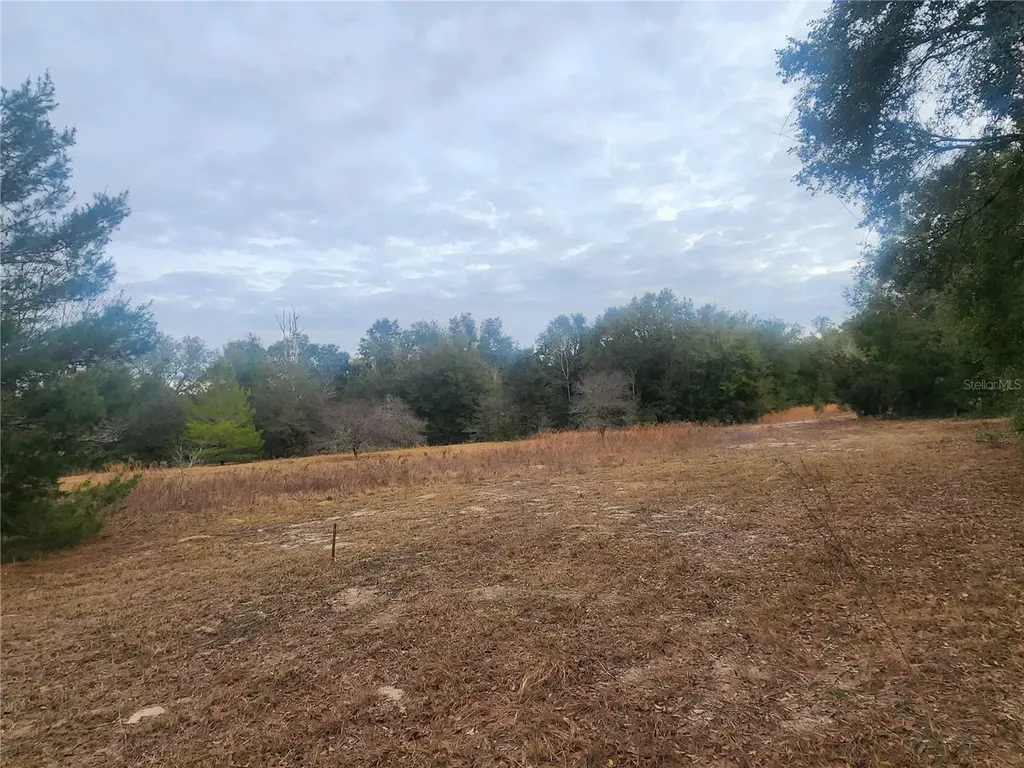 2407 Jackson Street Inverness FL 34453