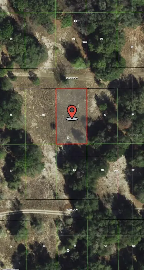 2407 Jackson Street Inverness FL 34453