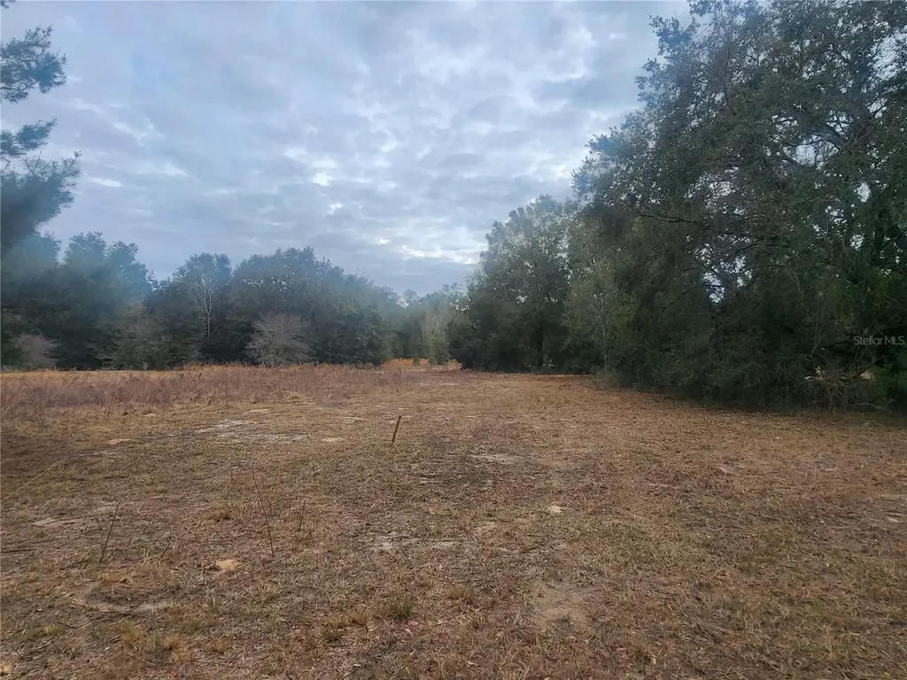 2407 Jackson Street Inverness FL 34453