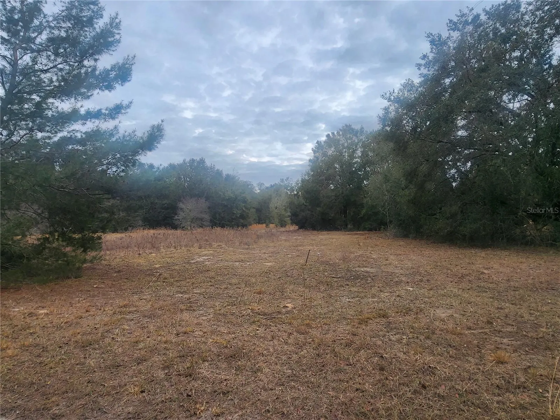 2407 Jackson Street Inverness FL 34453