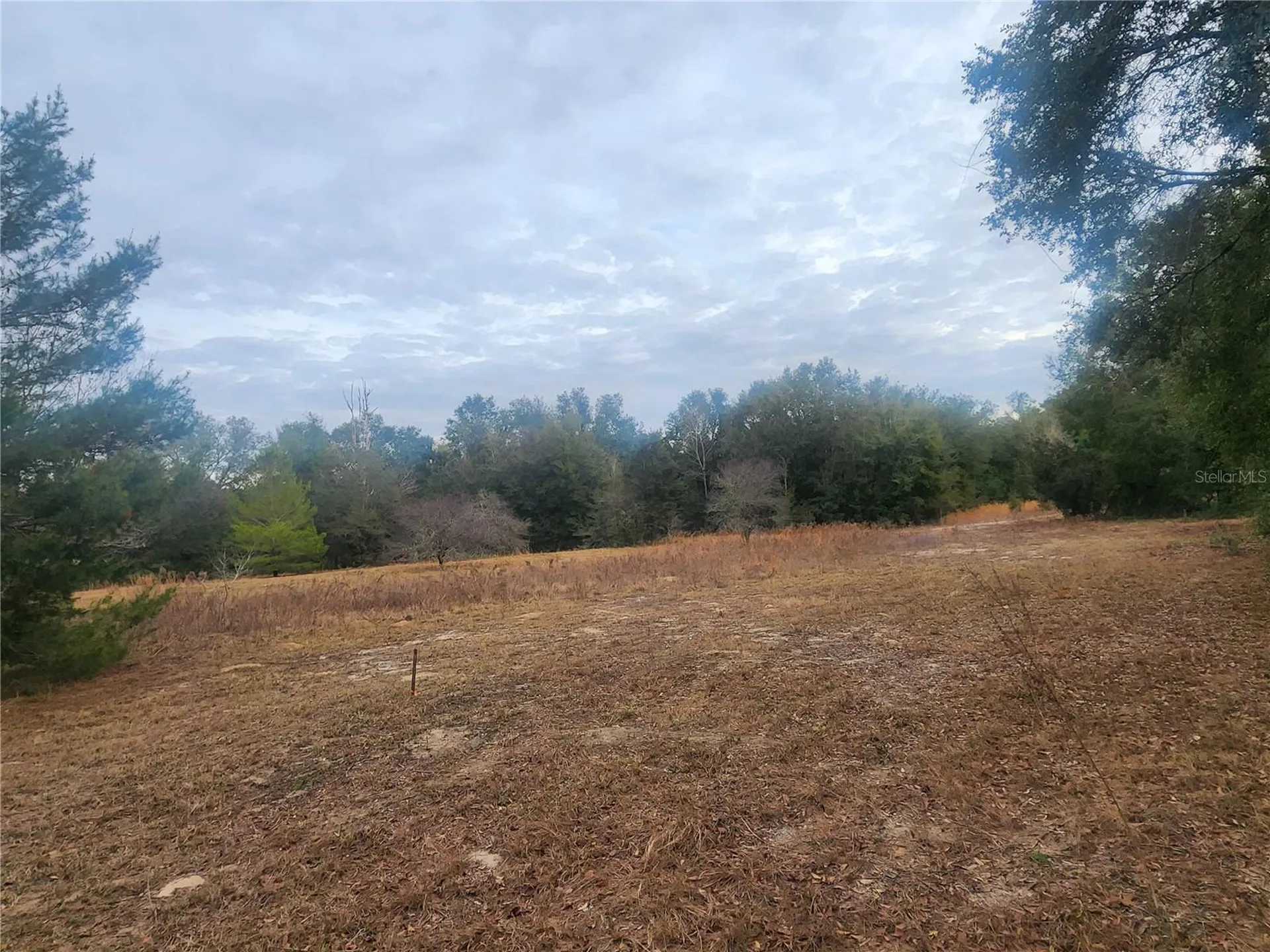 2407 Jackson Street Inverness FL 34453