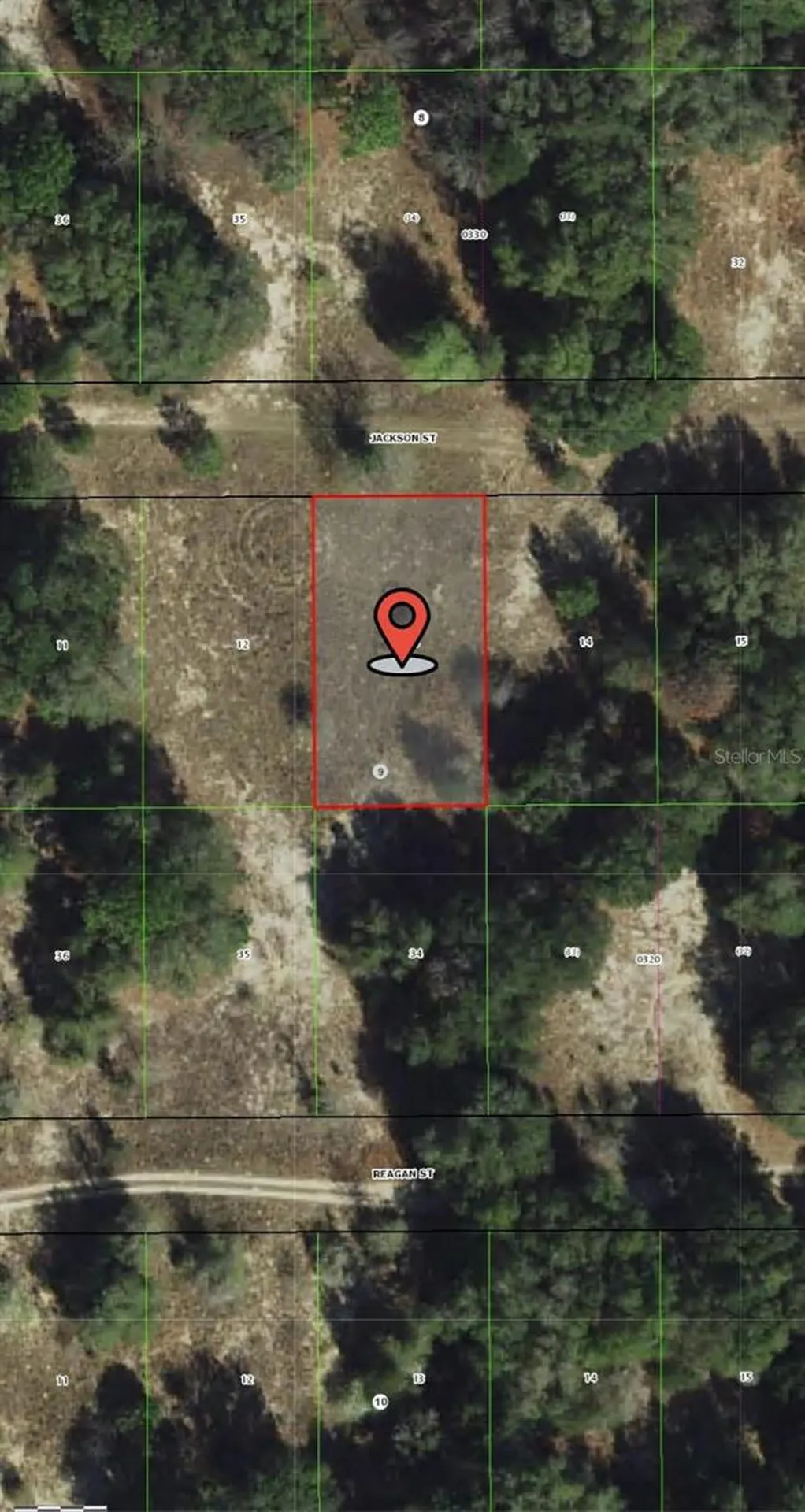 2407 Jackson Street Inverness FL 34453