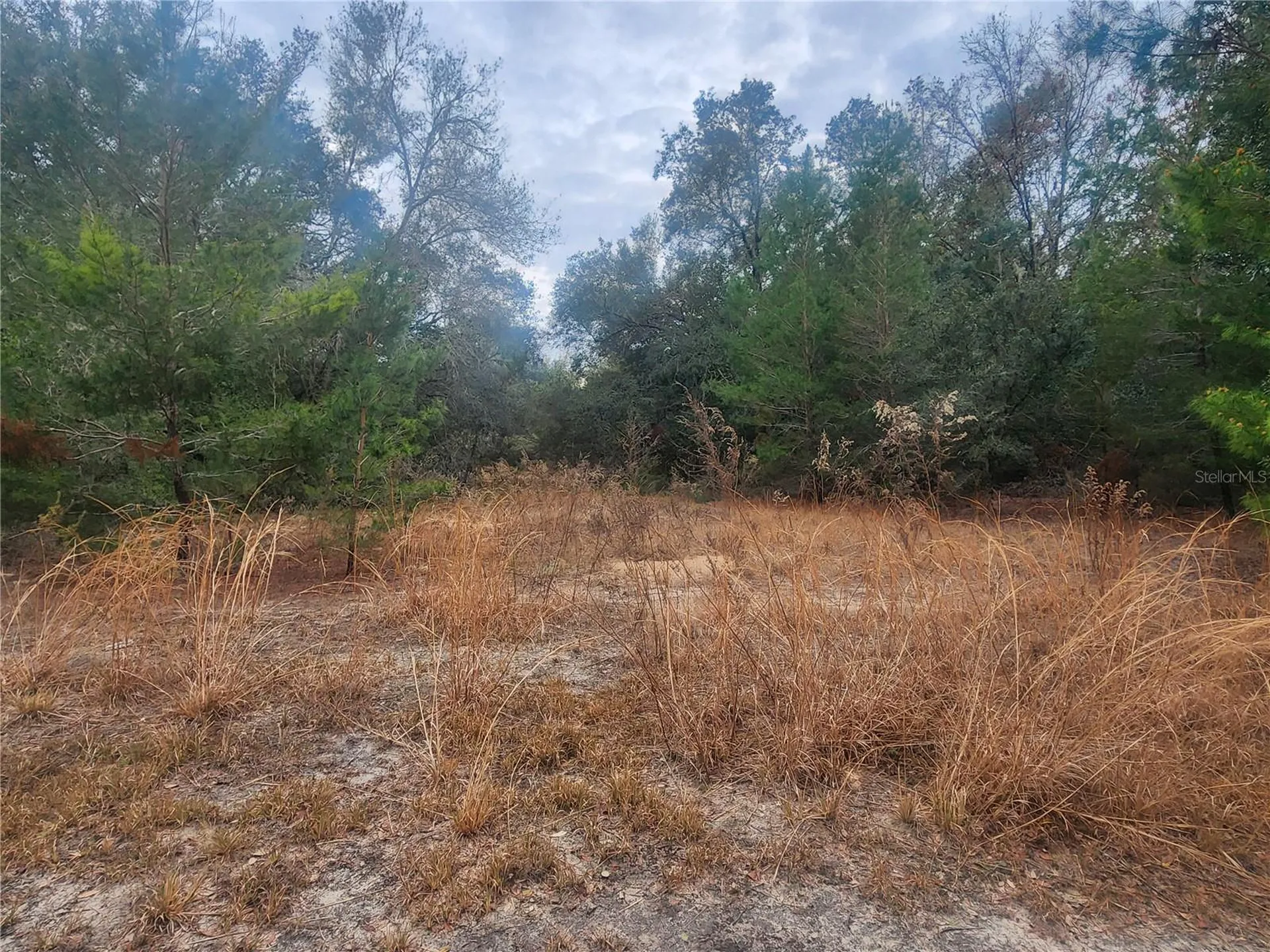 2407 Jackson Street Inverness FL 34453